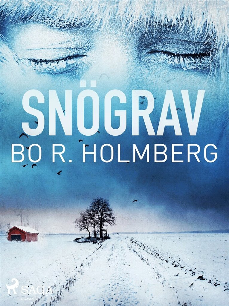 Bo R. Holmberg - Snögrav, E-bok