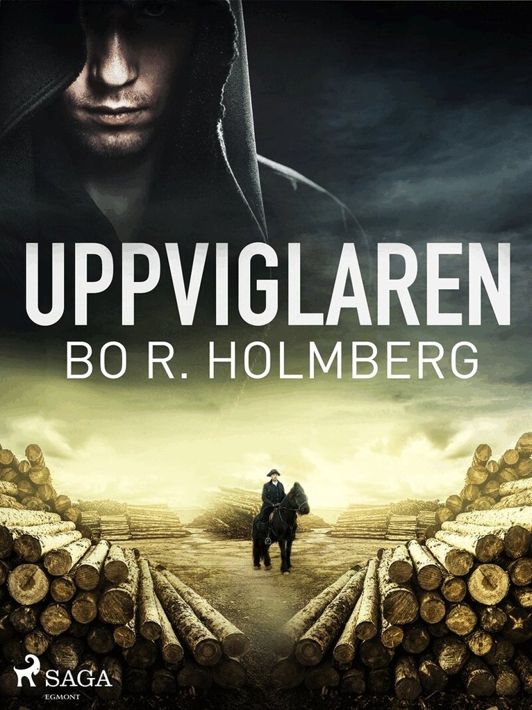 Bo R. Holmberg - Uppviglaren, E-bok