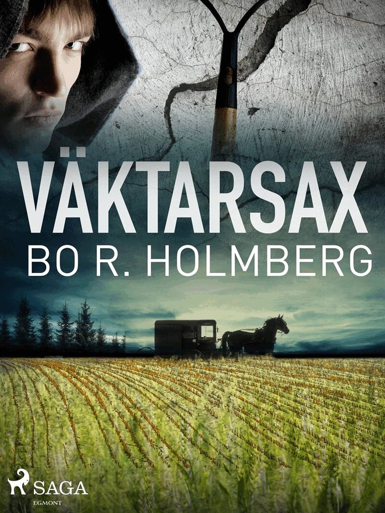 Bo R. Holmberg - Väktarsax, E-bok