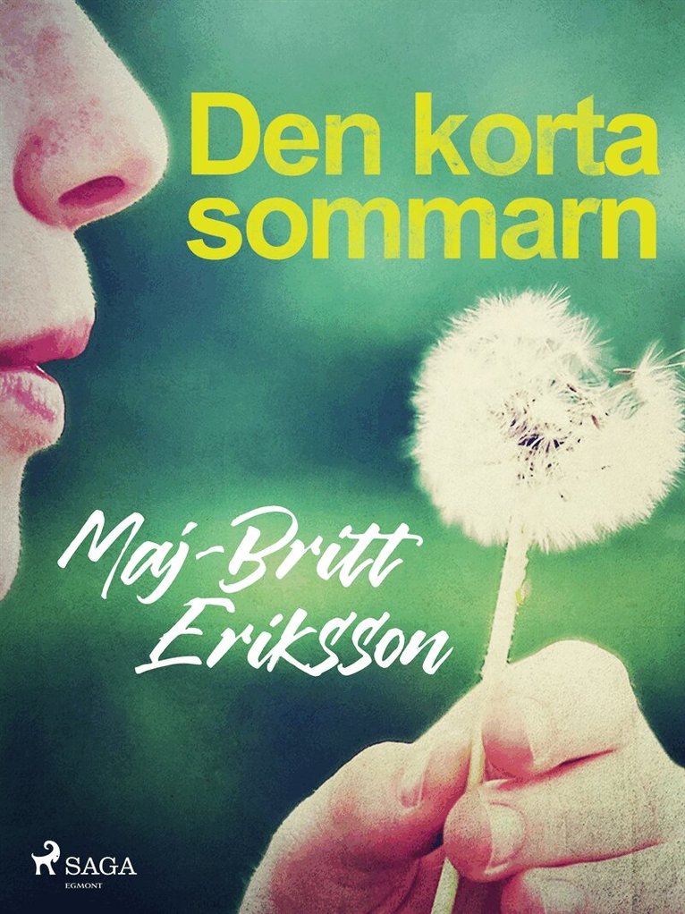 Maj-Britt Eriksson - Den korta sommarn, E-bok