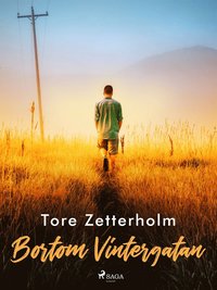 Bortom Vintergatan