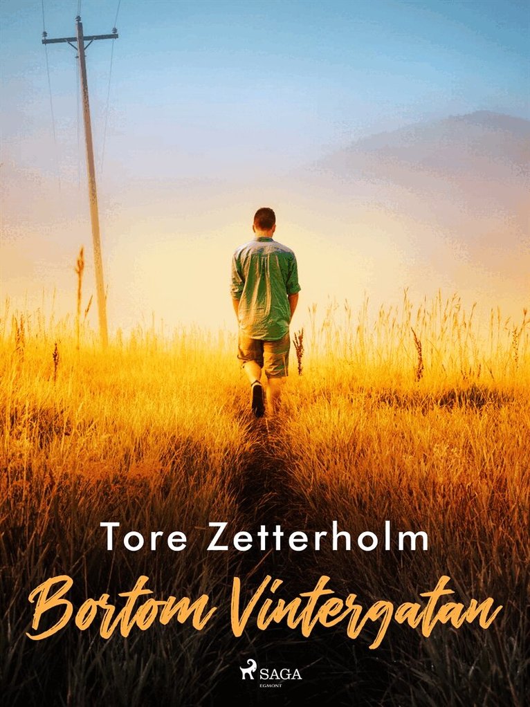Tore Zetterholm - Bortom Vintergatan, E-bok