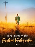 Bortom Vintergatan