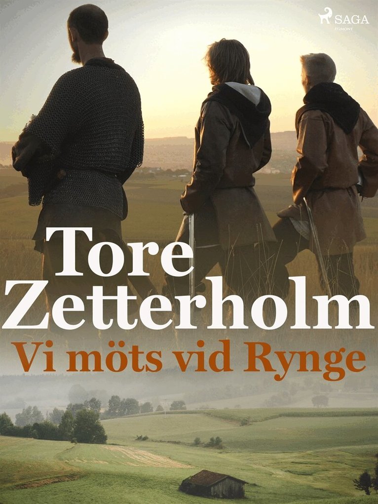 Tore Zetterholm - Vi möts vid Rynge, E-bok