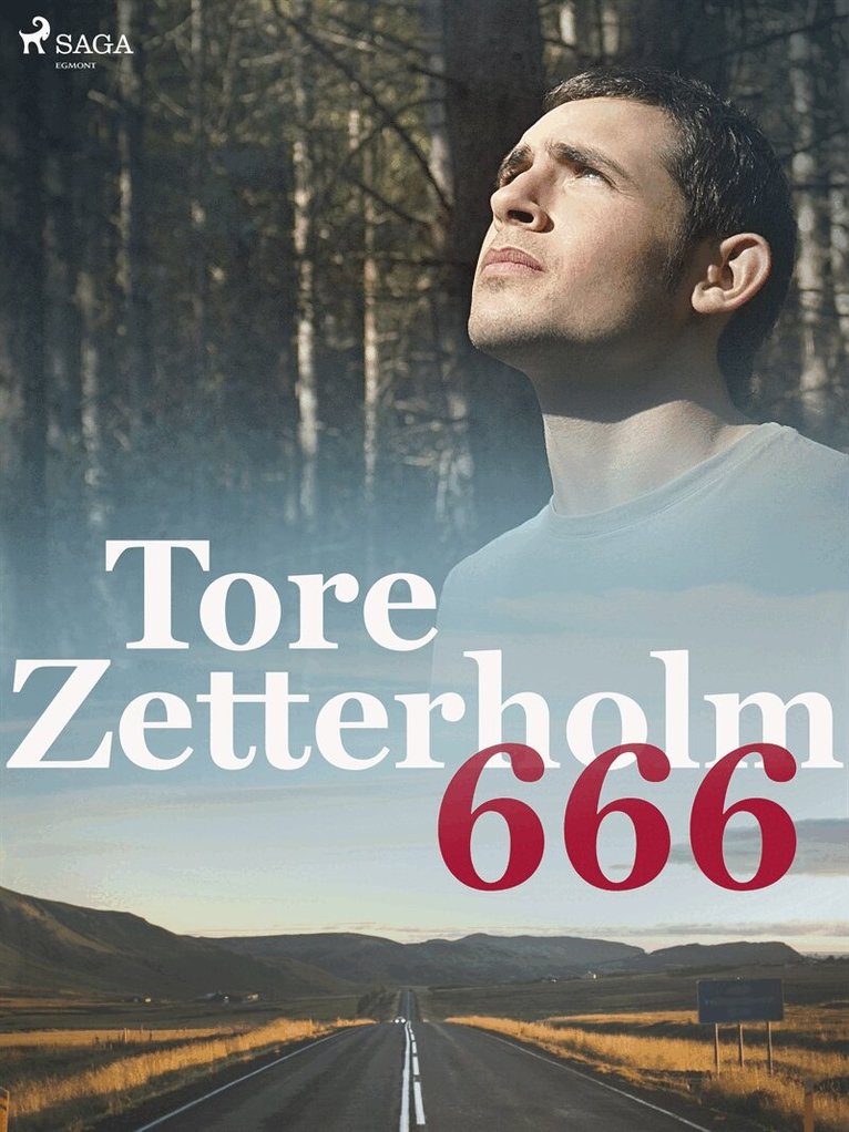 Tore Zetterholm - 666, E-bok