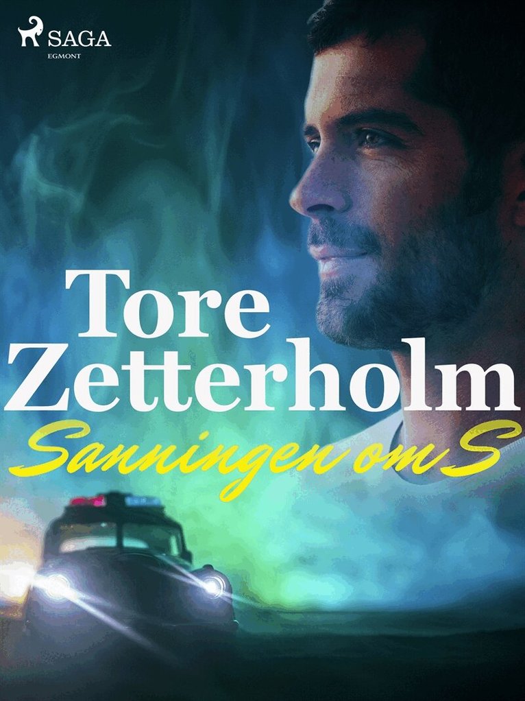 Tore Zetterholm - Sanningen om S, E-bok