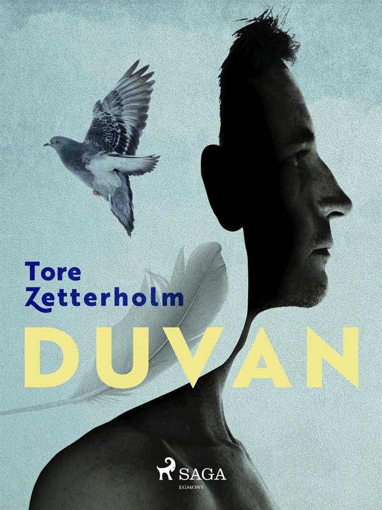 Tore Zetterholm - Duvan, E-bok