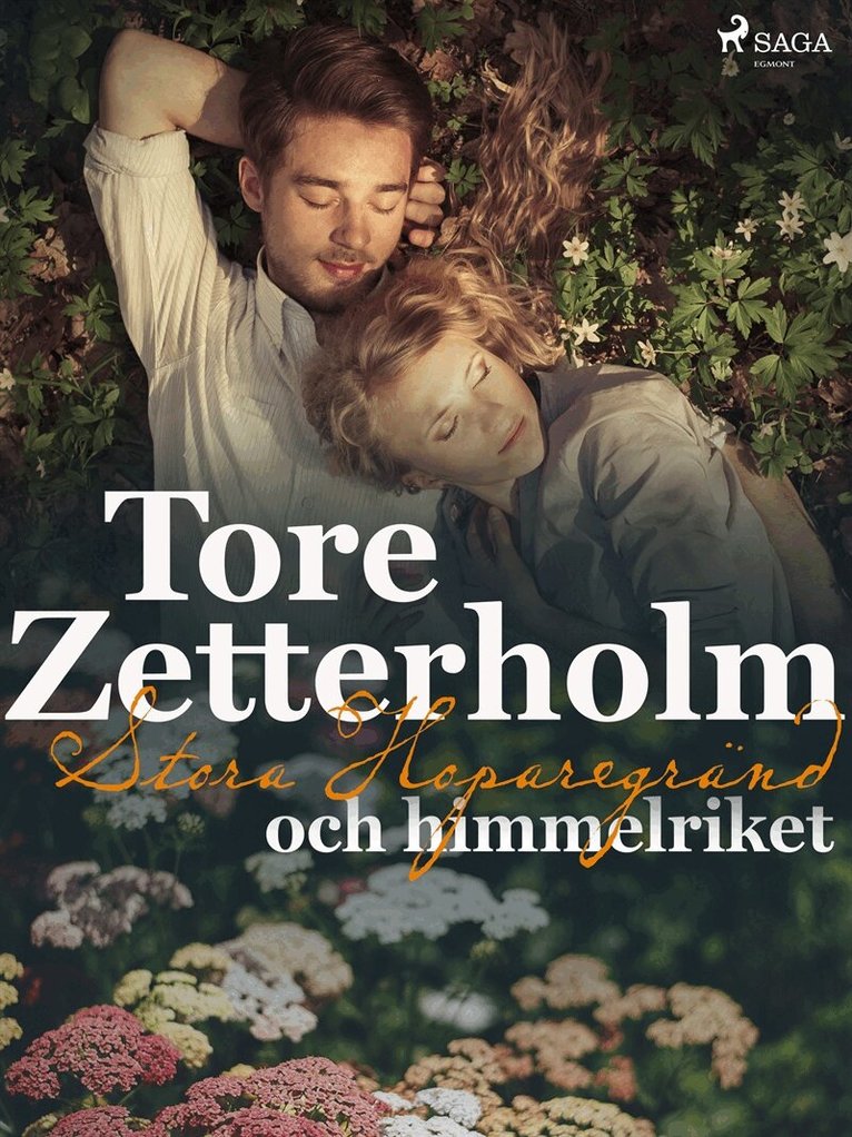 Tore Zetterholm - Stora Hoparegränd och himmelriket, E-bok
