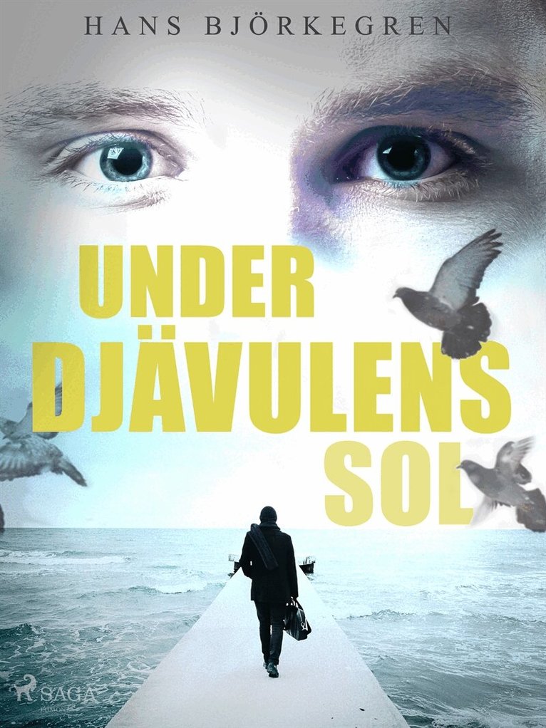 Hans Björkegren - Under djävulens sol, E-bok