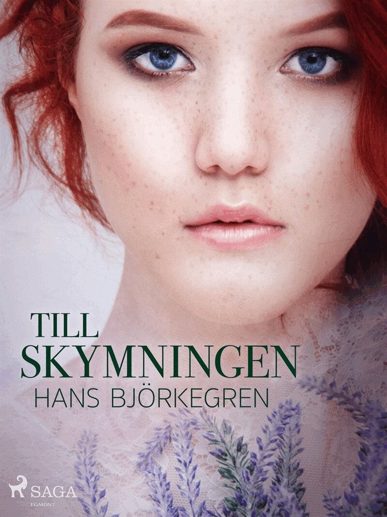 Hans Björkegren - Till skymningen, E-bok