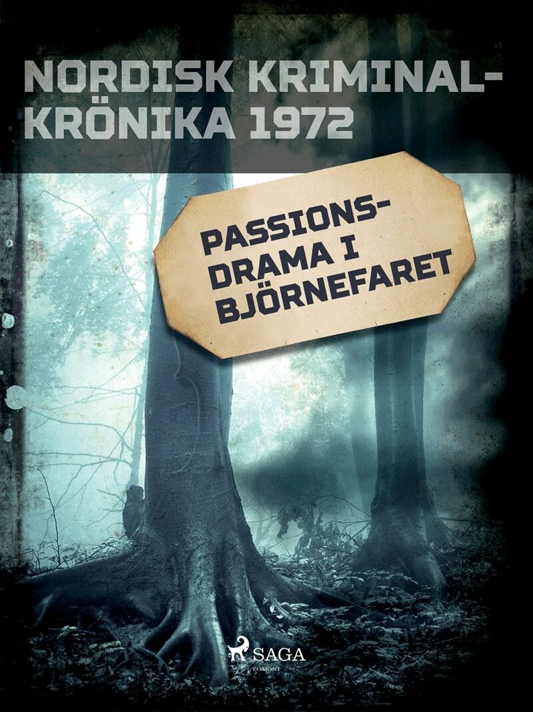 Diverse - Passionsdrama i Björnefaret, E-bok