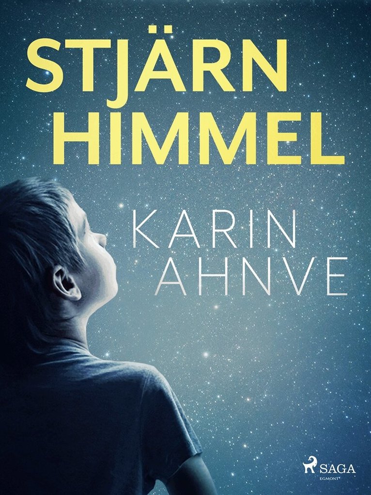 Karin Ahnve - Stjärnhimmel, E-bok