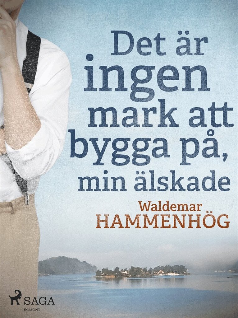 Waldemar Hammenhög - Det är ingen mark att bygga på, min älskade, E-bok