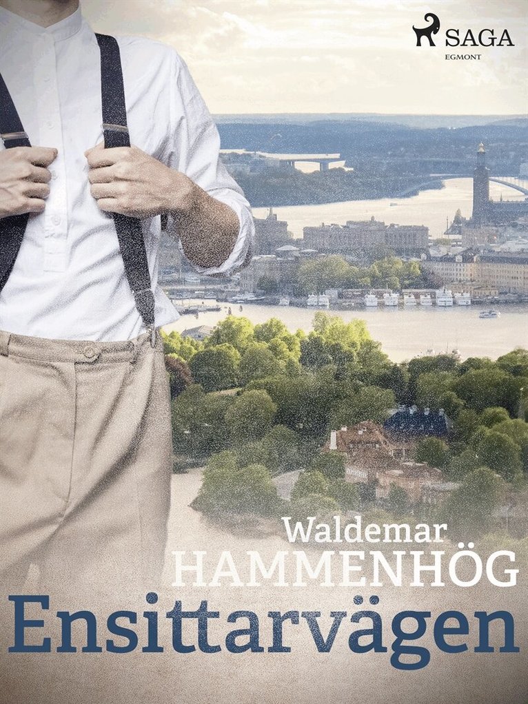 Waldemar Hammenhög - Ensittarvägen, E-bok