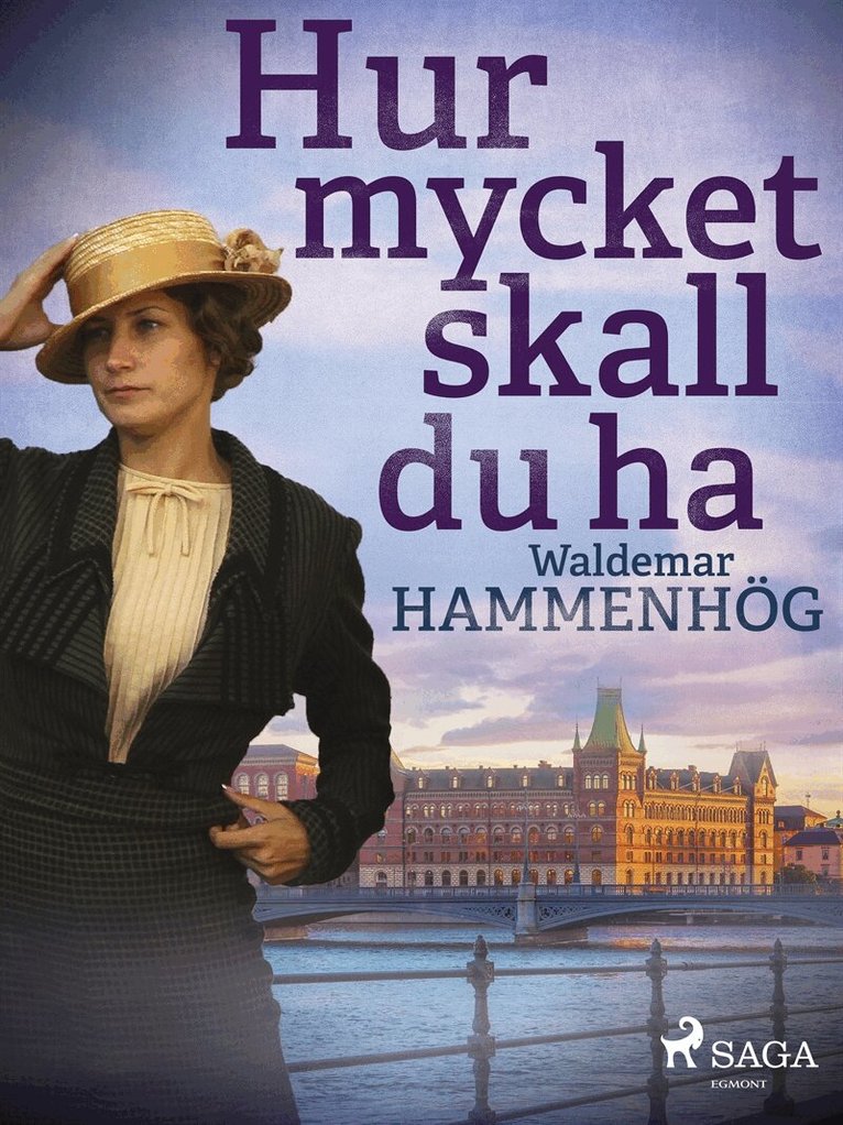 Waldemar Hammenhög - Hur mycket skall du ha, E-bok