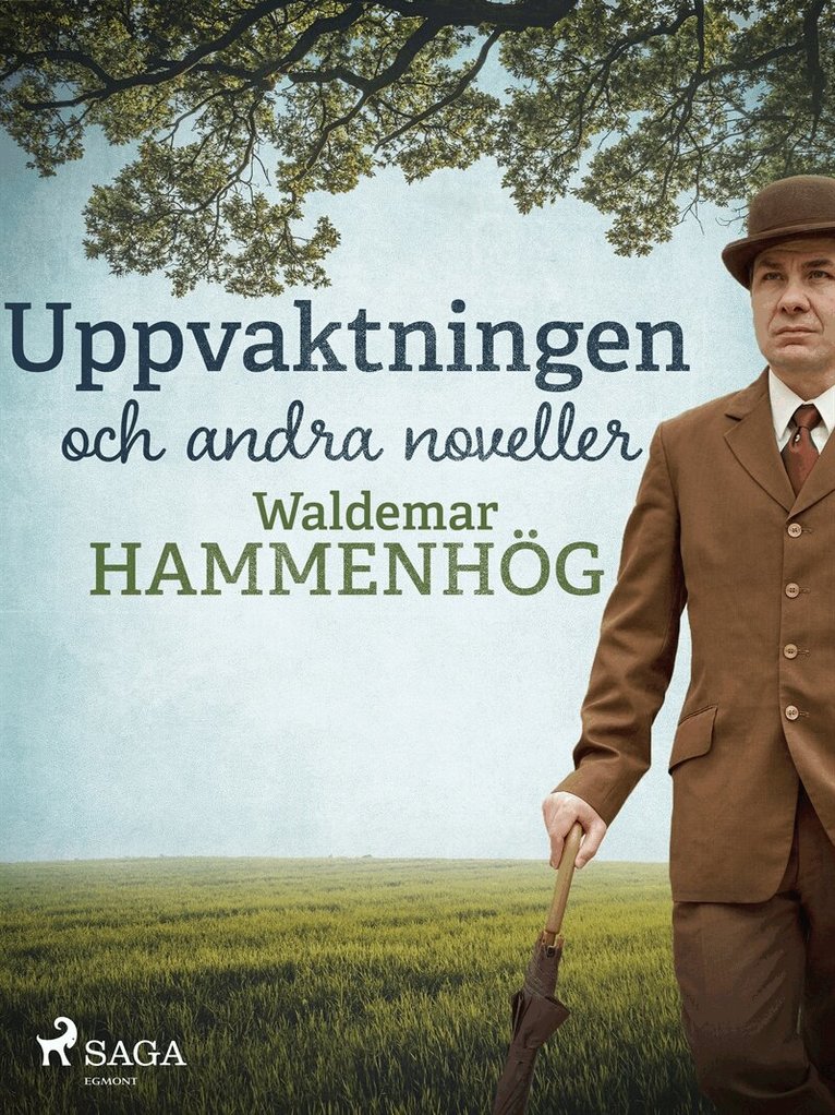 Waldemar Hammenhög - Uppvaktningen och andra noveller, E-bok