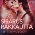 Sisarusrakkautta - eroottinen novelli