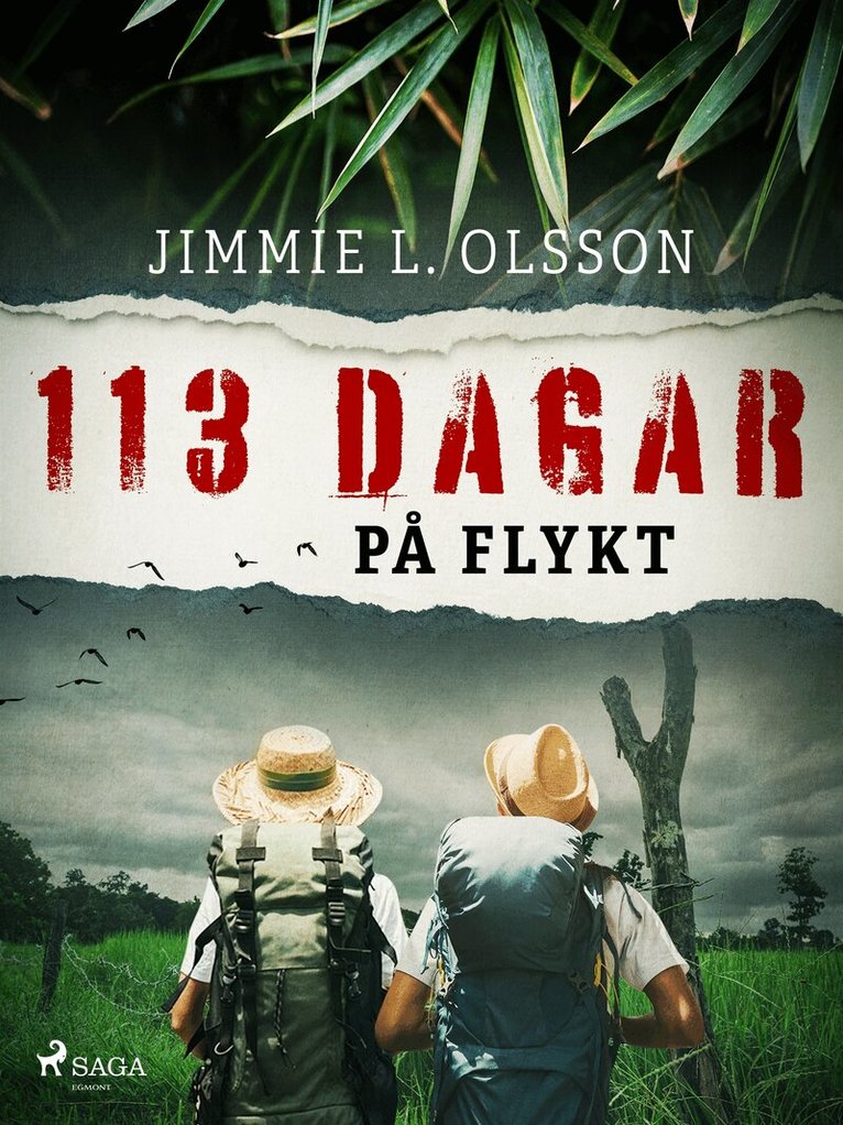 Jimmie L. Olsson - 113 dagar på flykt, E-bok