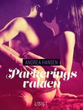 Parkeringsvakten - erotisk novell