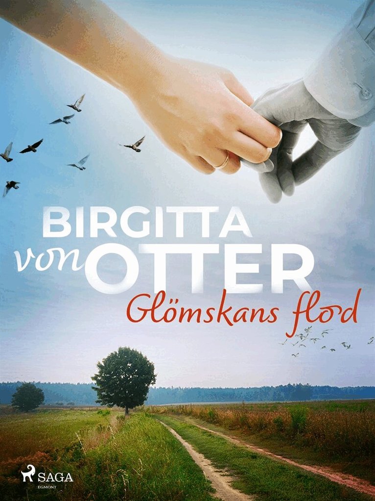 Birgitta von Otter - Glömskans flod, E-bok
