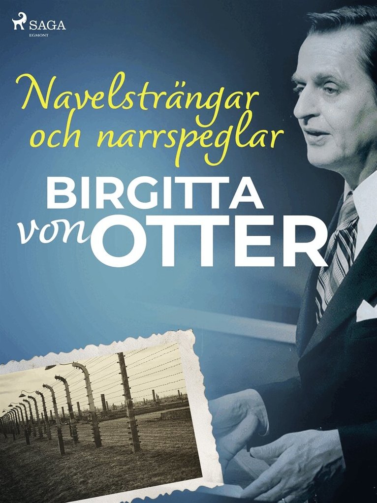 Birgitta von Otter - Navelsträngar och narrspeglar, E-bok