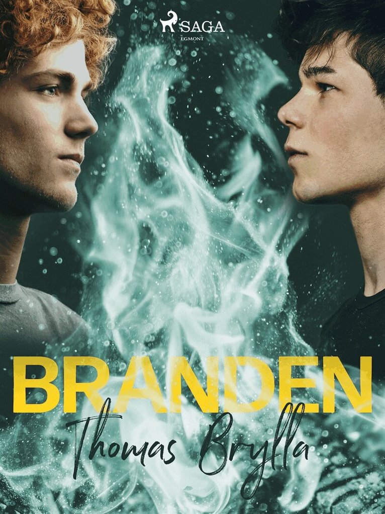 Thomas Brylla - Branden, E-bok
