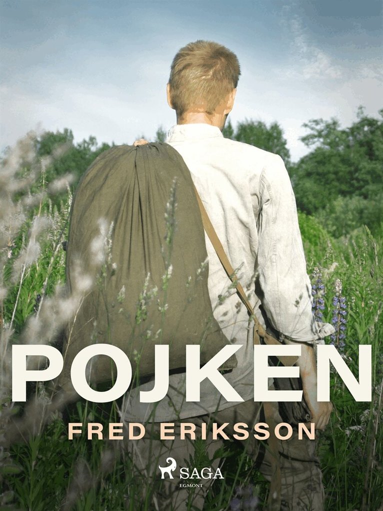 Fred Eriksson - Pojken, E-bok