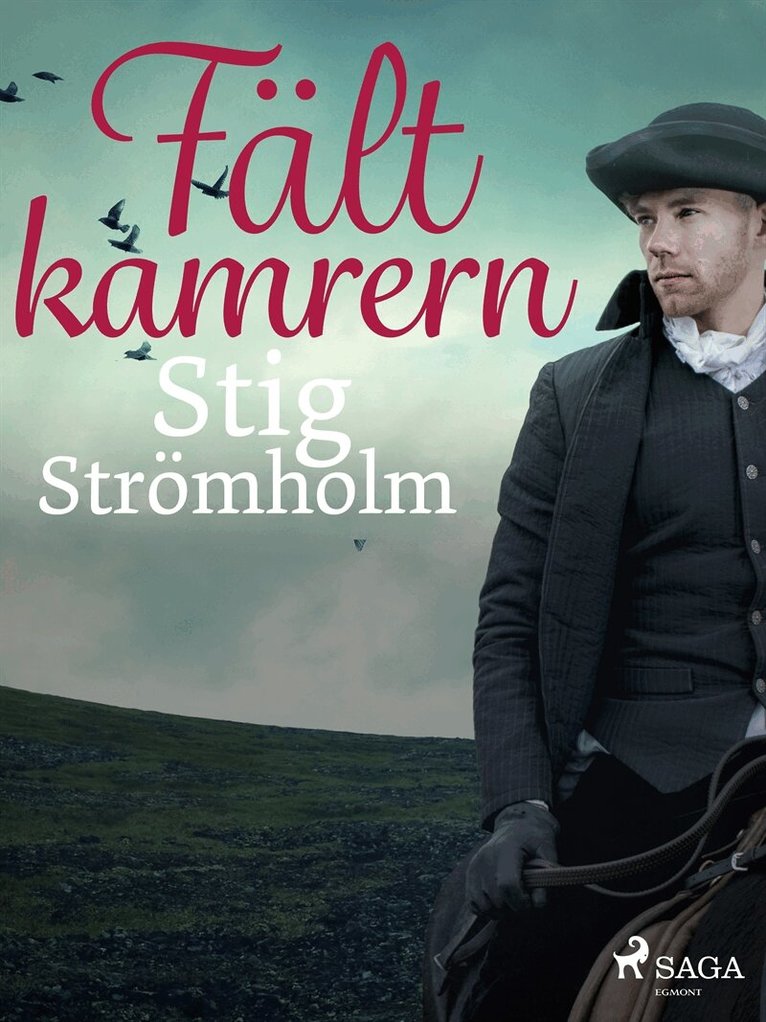 Stig Strömholm - Fältkamrern, E-bok
