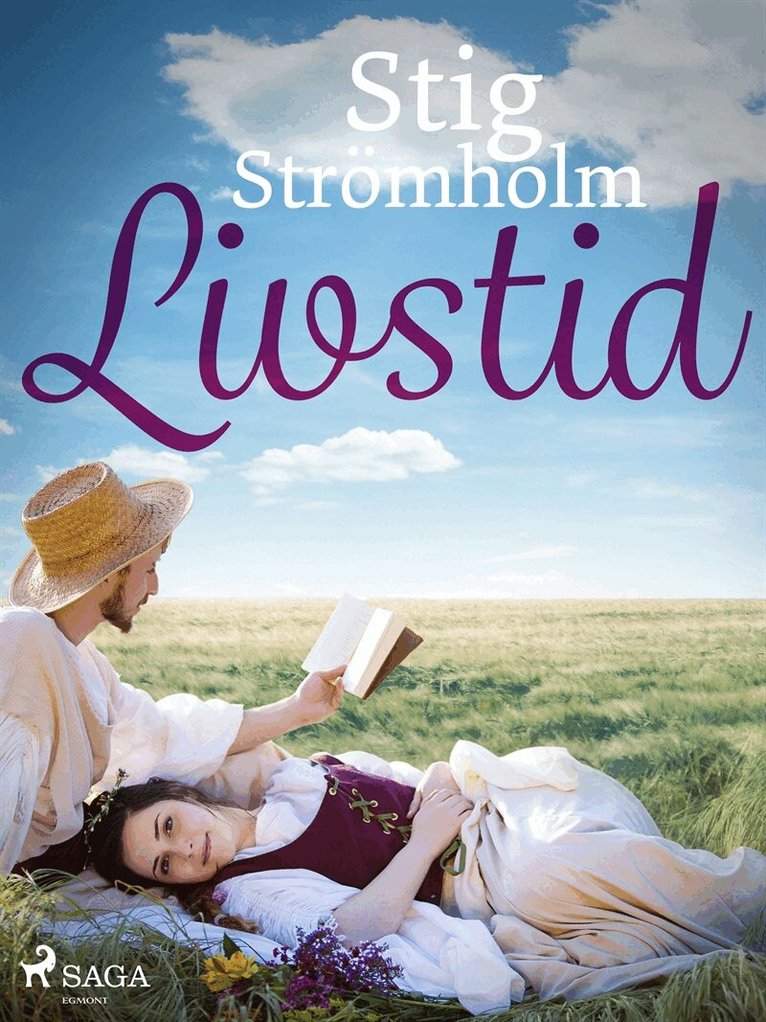 Stig Strömholm - Livstid, E-bok