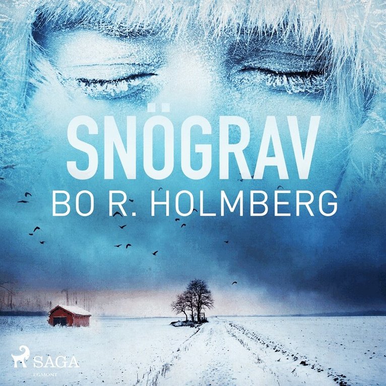 Bo R. Holmberg - Snögrav, Ljudbok