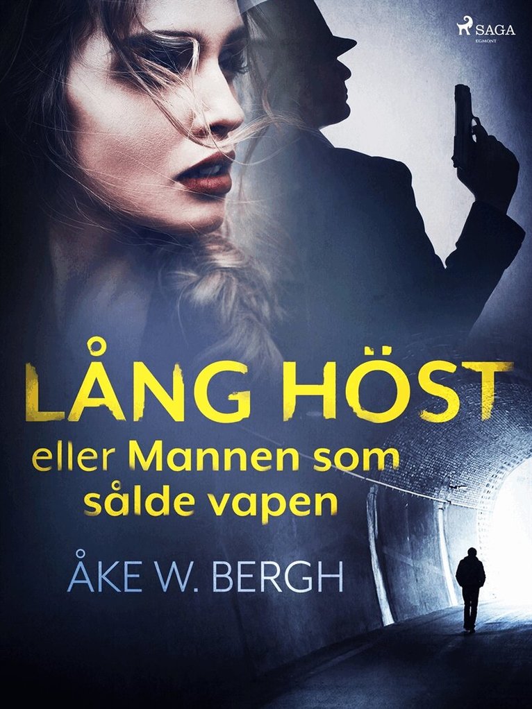Åke W. Bergh - Lång höst eller Mannen som sålde vapen, E-bok