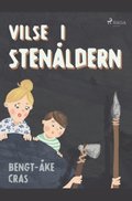 Vilse i stenldern