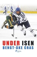 Under isen