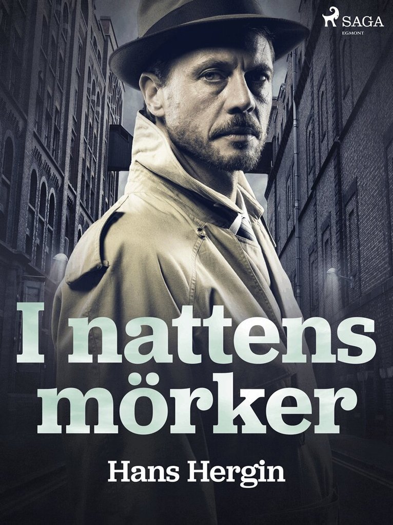 Hans Hergin - I nattens tecken, E-bok