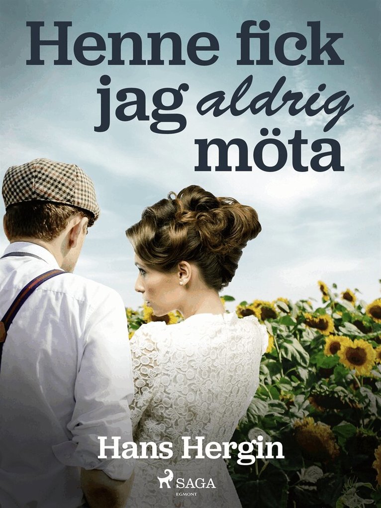 Hans Hergin - Henne fick jag aldrig möta, E-bok