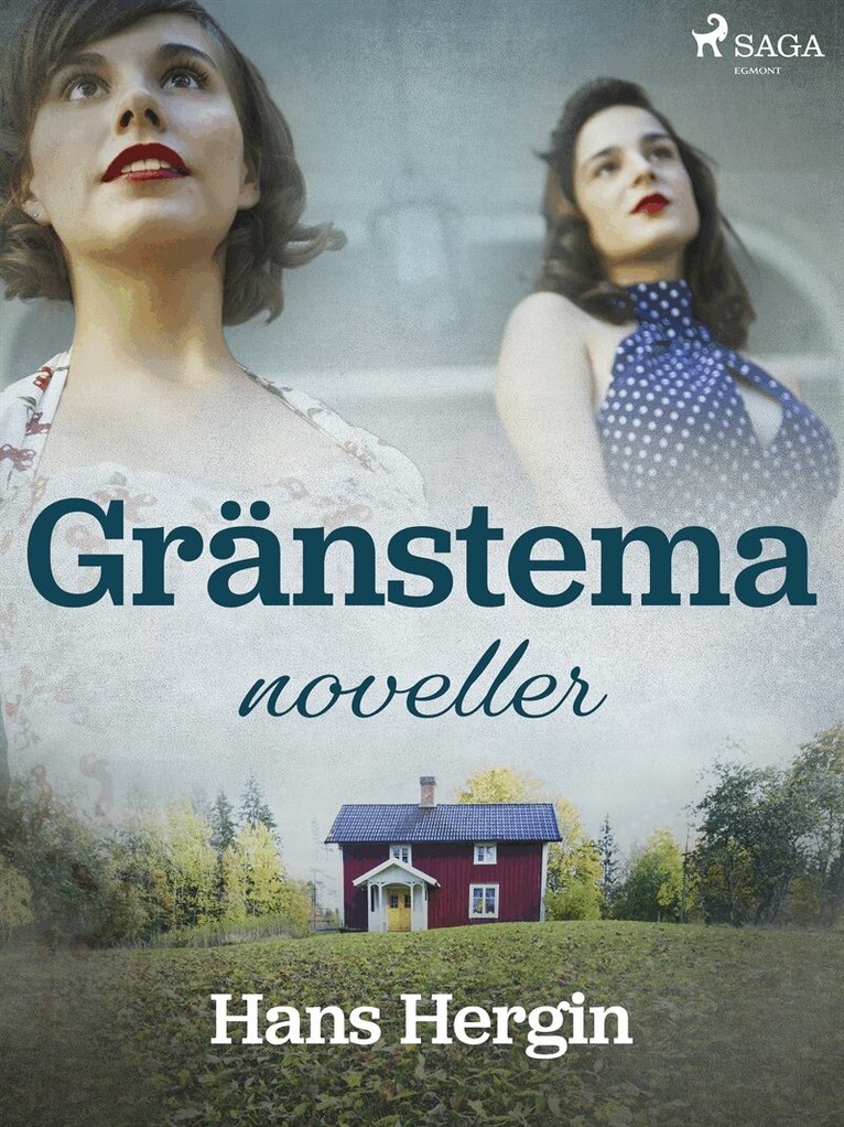 Hans Hergin - Gränstema: noveller, E-bok