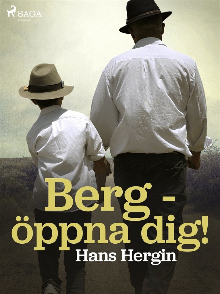 Hans Hergin - Berg - öppna dig!, E-bok
