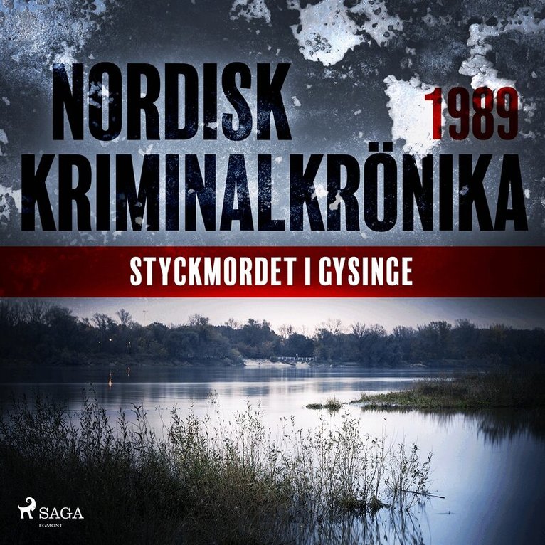 Diverse - Styckmordet i Gysinge, Ljudbok