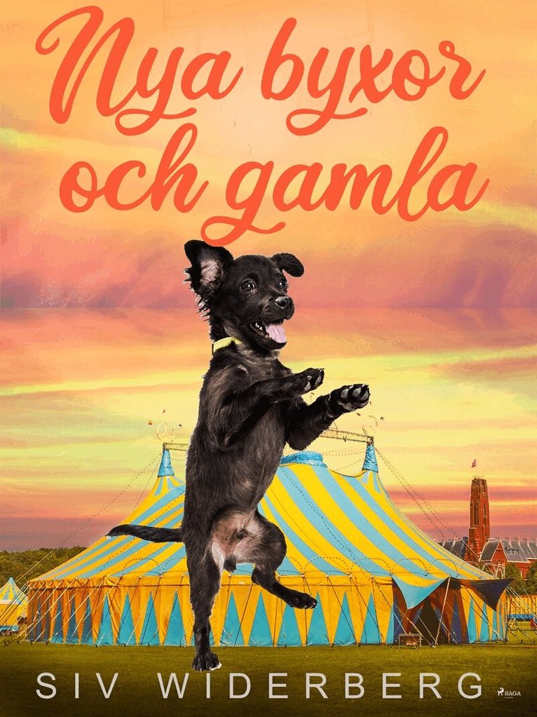 Siv Widerberg - Nya byxor och gamla, E-bok