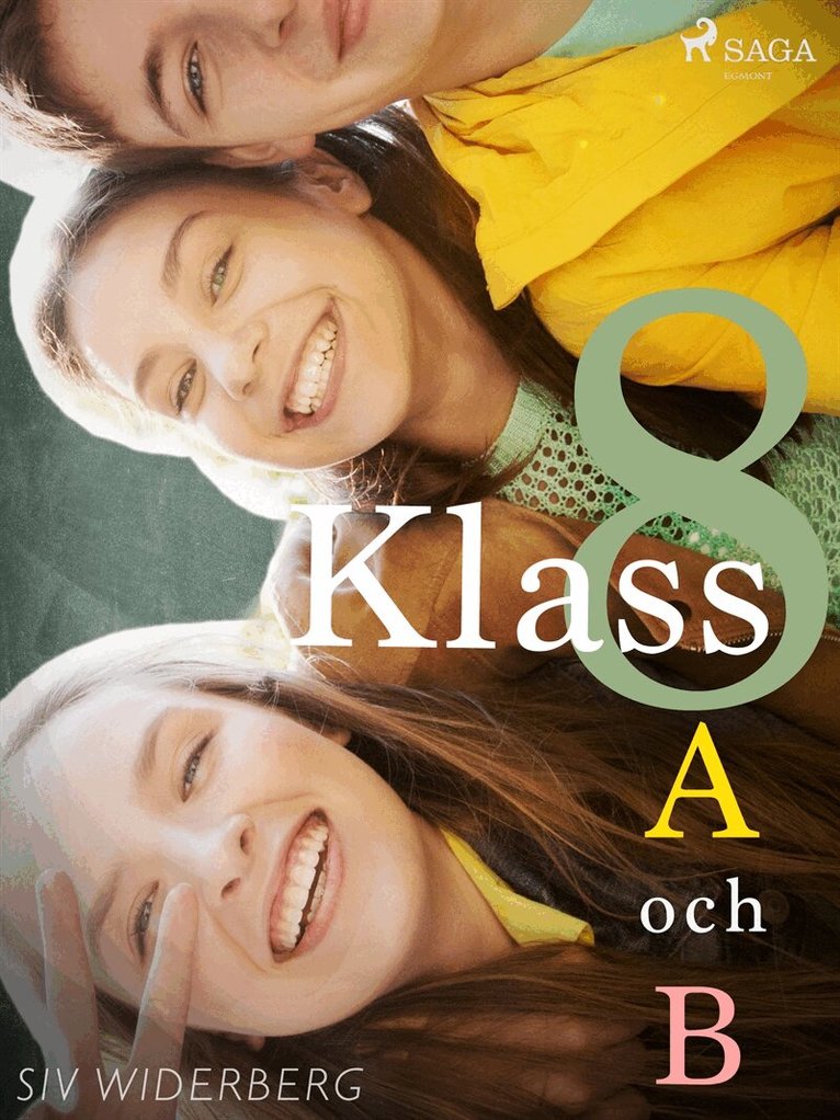 Siv Widerberg - Klass 8 A och B, E-bok