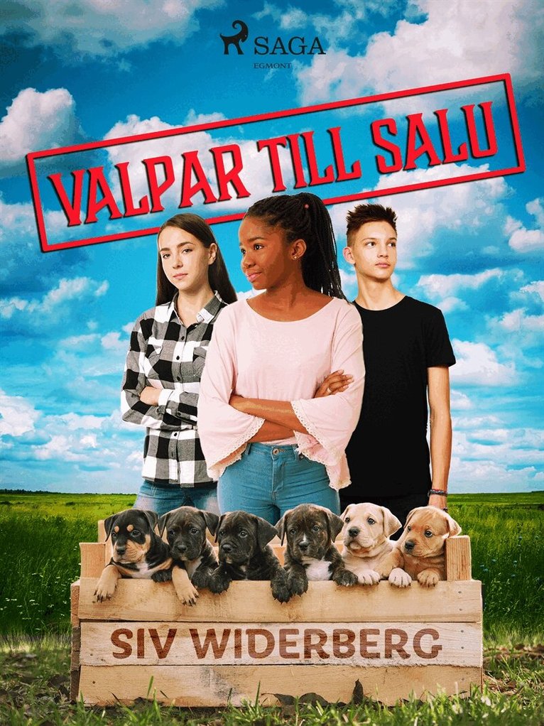 Siv Widerberg - Valpar till salu, E-bok