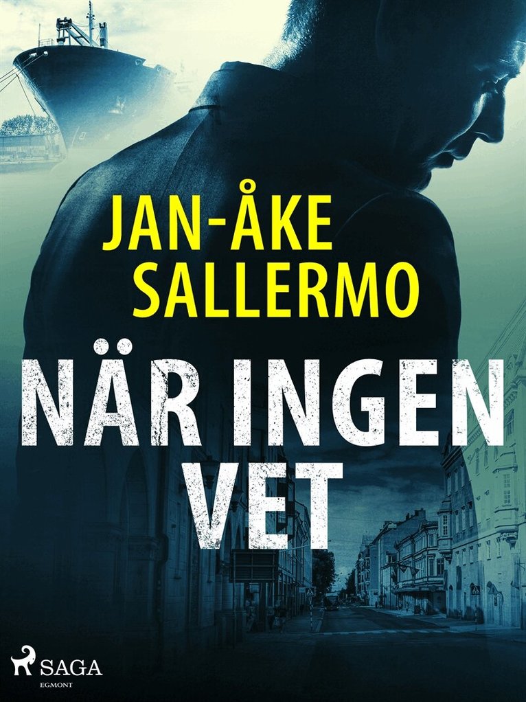 Jan-Åke Sallermo - När ingen vet, E-bok