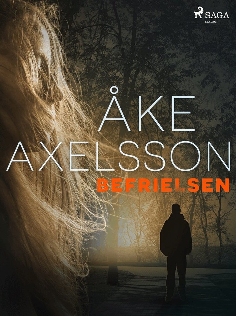 Åke Axelsson - Befrielsen, E-bok