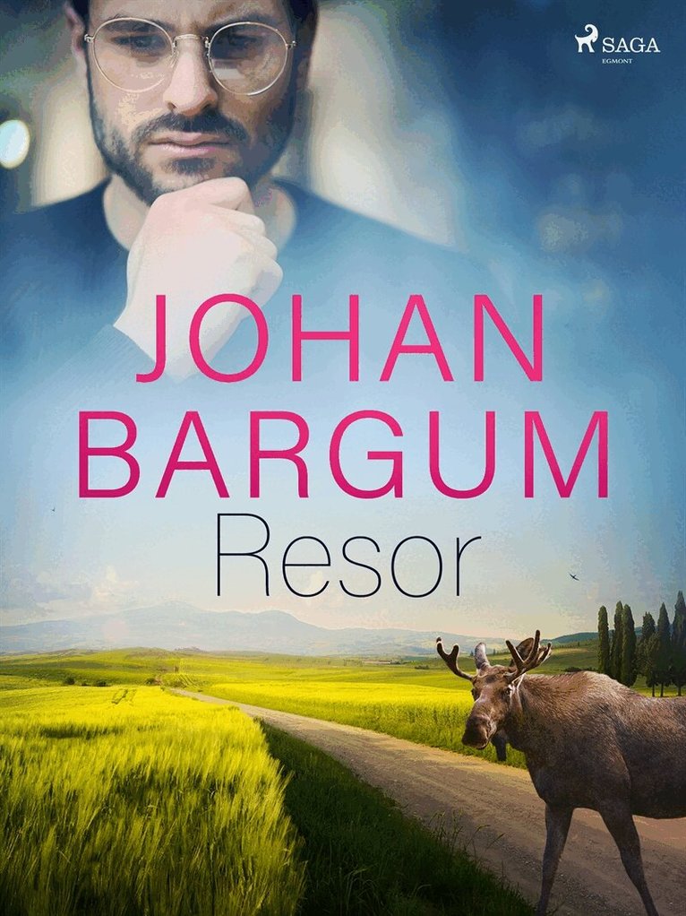 Johan Bargum - Resor, E-bok