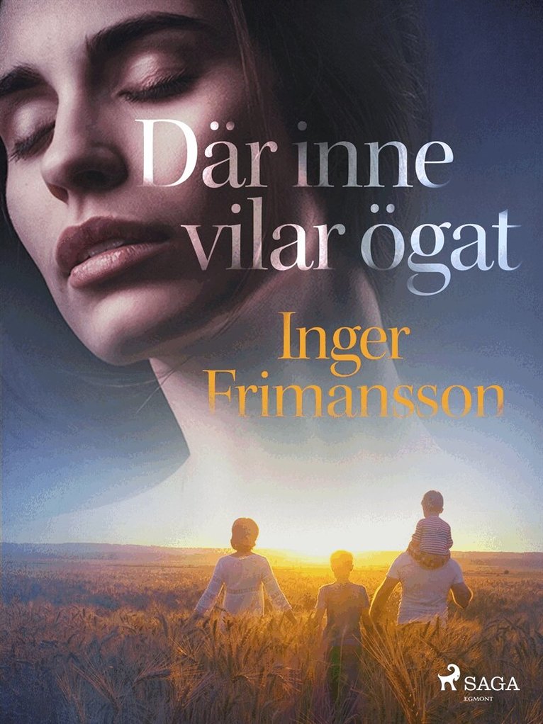 Inger Frimansson - Där inne vilar ögat, E-bok