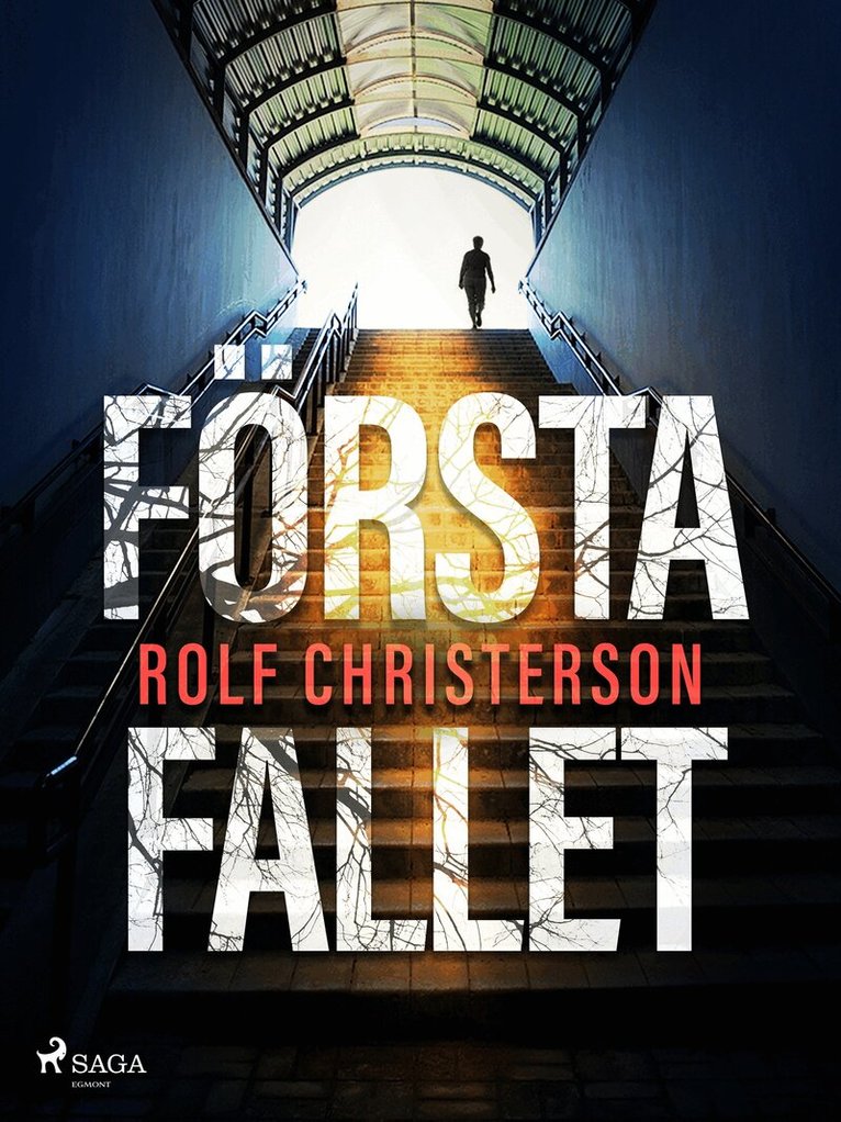 Rolf Christerson - Första fallet, E-bok