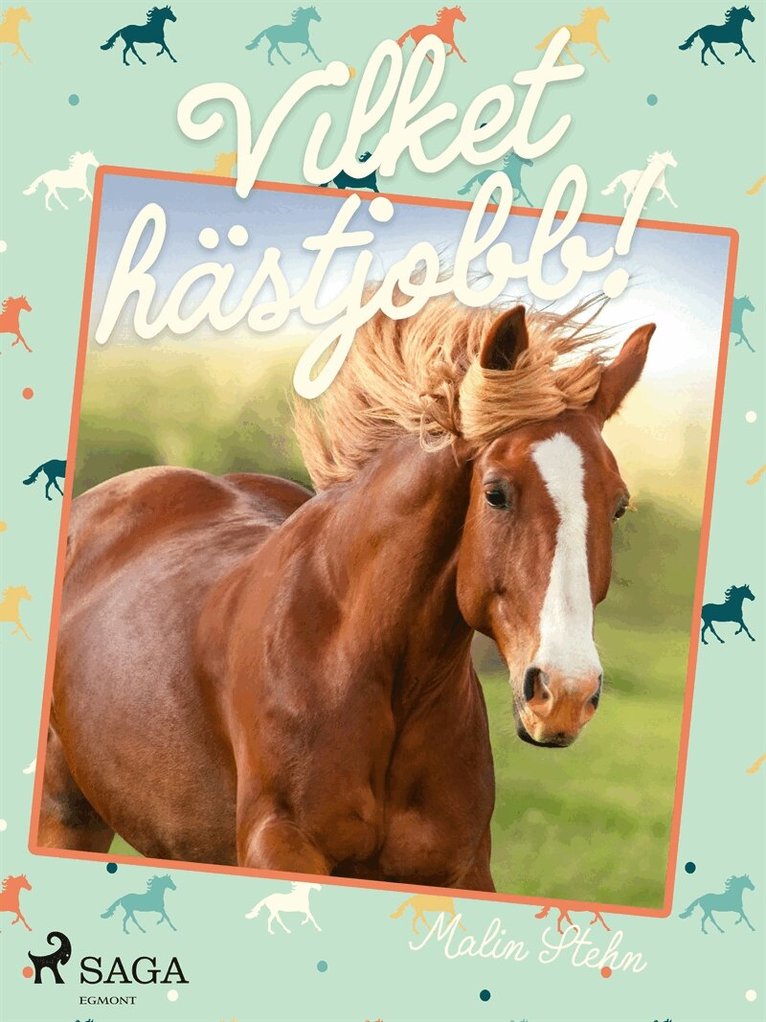 Malin Stehn - Vilket hästjobb!, E-bok
