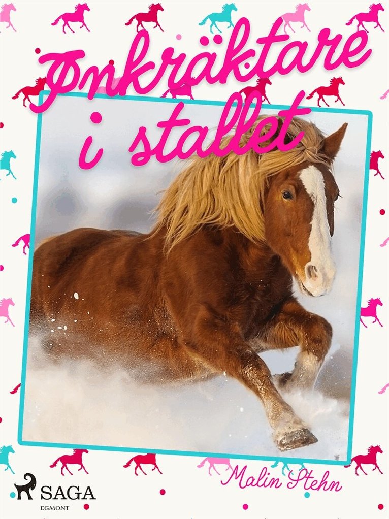 Malin Stehn - Inkräktare i stallet, E-bok