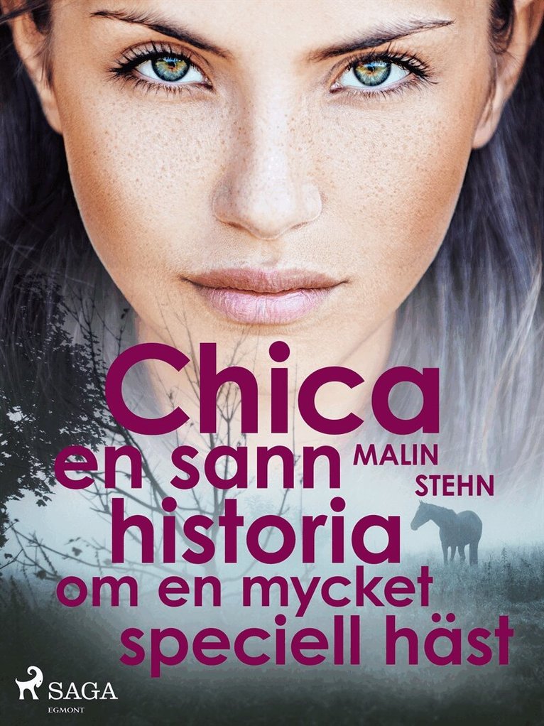 Malin Stehn - Chica : en sann historia om en mycket speciell häst, E-bok