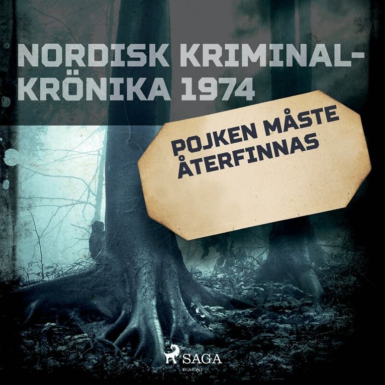 Diverse - Pojken måste återfinnas, Ljudbok